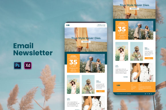Email Newsletter Template
